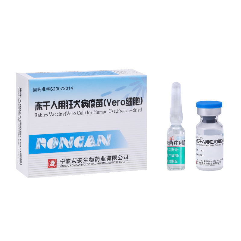 Apa Itu Vaksin Rabies Vero Cell dan Mengapa Penting untuk Pencegahan Rabies Modern?